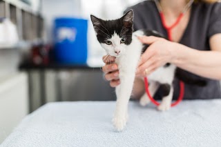 Pilgrims Veterinary Practice