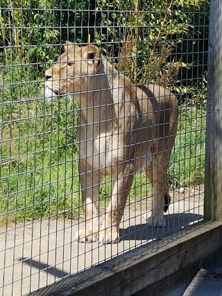 Noah's Ark Zoo Farm