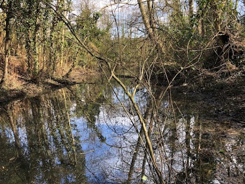 Belhus Woods Country Park Visitor Centre