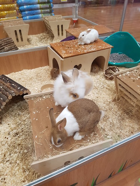 Pets at Home Southampton Shirley