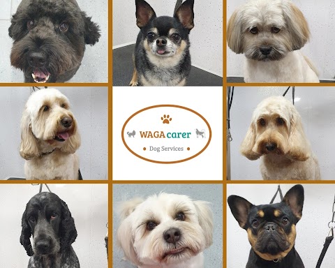 WAGAcarer Dog Grooming & Services