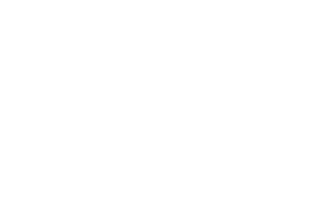 Lyndon School
