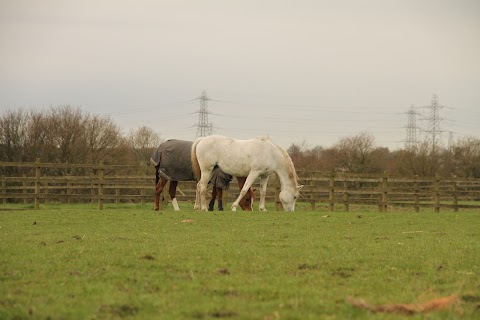 Simon Constable Equine Vets