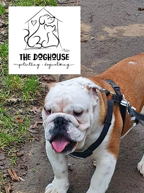 Doghouse doggie daycare & boarding