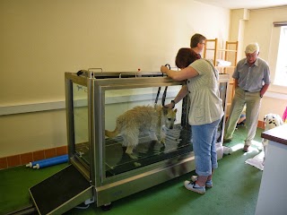 The Veterinary Therapy Centre