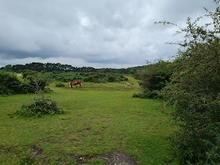 Whitefield Moor