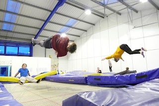 Tumbling Trampoliners