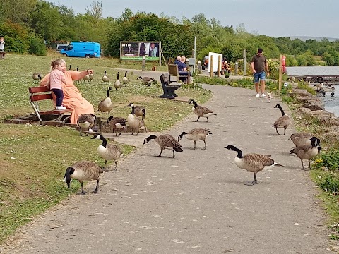 Parc Bryn Bach