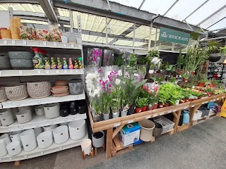 Dunston Hall Garden Centre