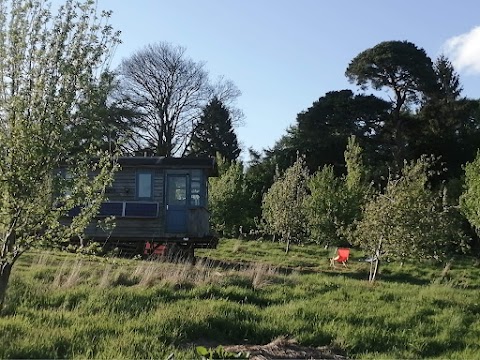 Ecopod Holidays - Staffordshire Glamping