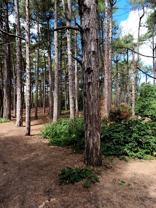 Formby Beach