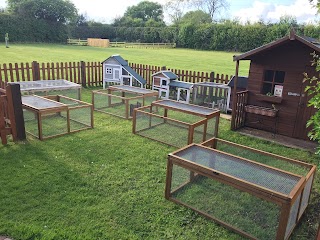 Shropshire Guinea Piggery & Bunny Barn