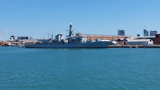 Harbour Tours