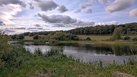 Sprotbrough Flash