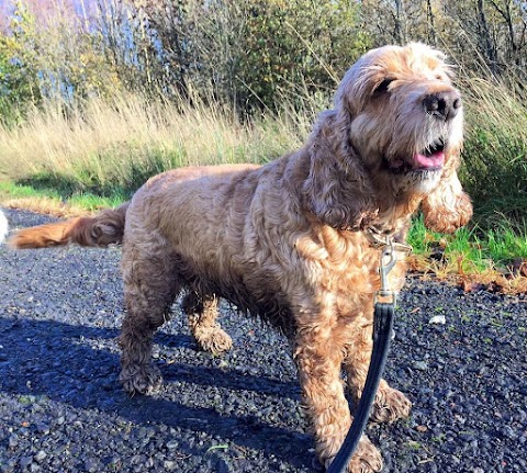 Muddy Walks Glasgow