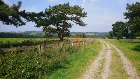 Bretton Country Park Kennels and Cattery