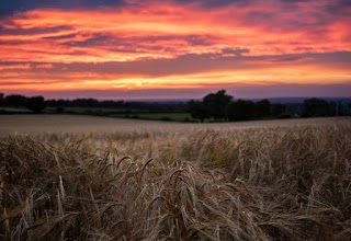 Lye Corn Mills