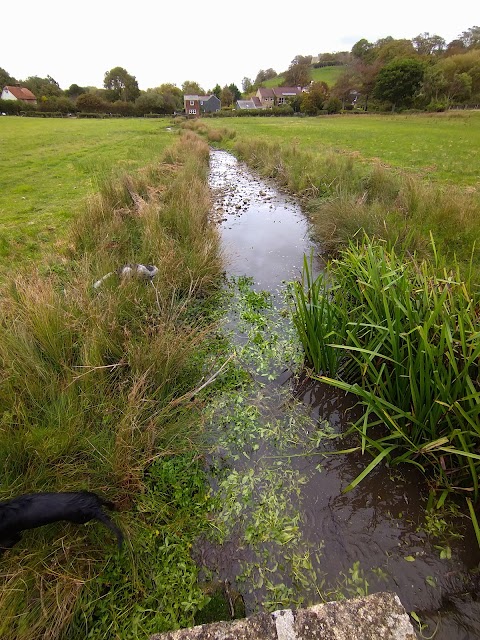 Carisbrooke Water Meadows