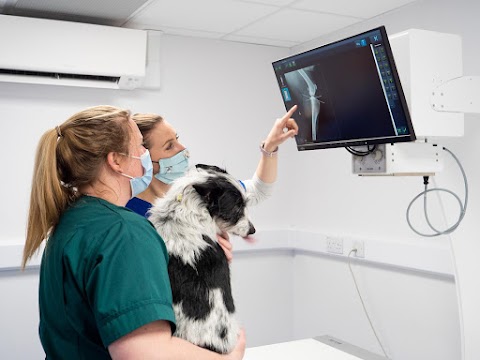 Farnham Veterinary Group, Practice & Hospital