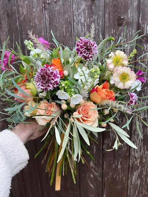 Thistle & Phlox