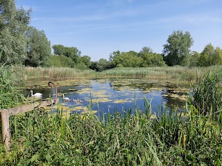 Magor Marsh - Gwent Wildlife Trust