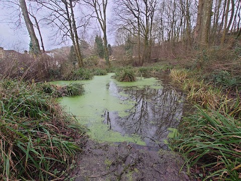 Silver Street Local Nature Reserve