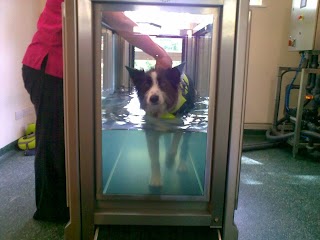 Lothian Canine Rehabilitation Centre