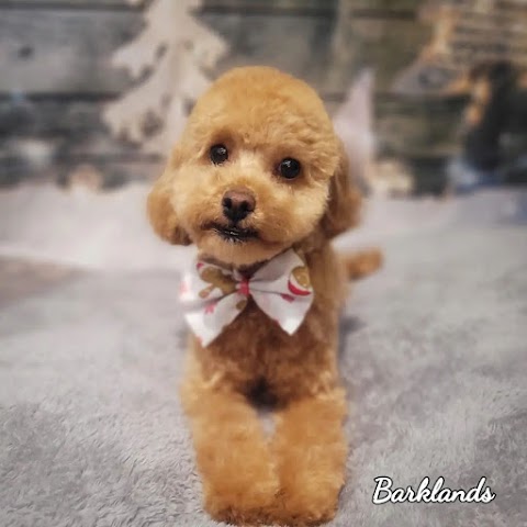 Barklands Dog Grooming