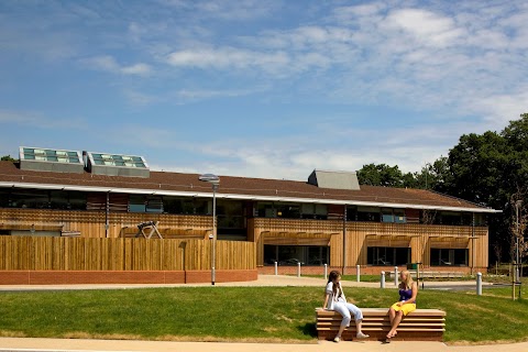 TreeHouse School