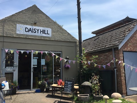 Daisy Hill