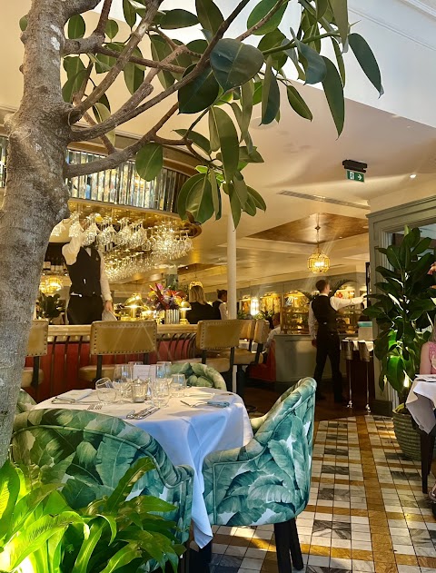 The Ivy Chichester Brasserie