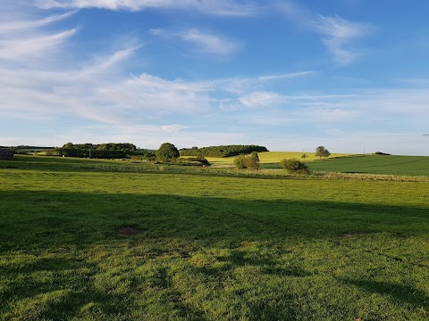 The Bulls Head