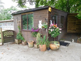 Cats Whiskers Cattery Hotel