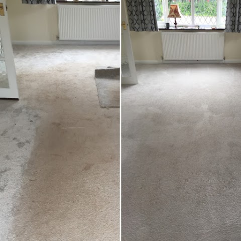 Carpet Demon