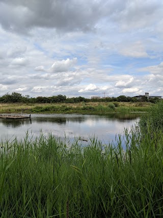 Greenwich Peninsula Ecology Park - TCV