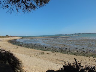 Lepe Country Park