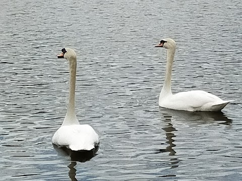 Clarence Park, Bury