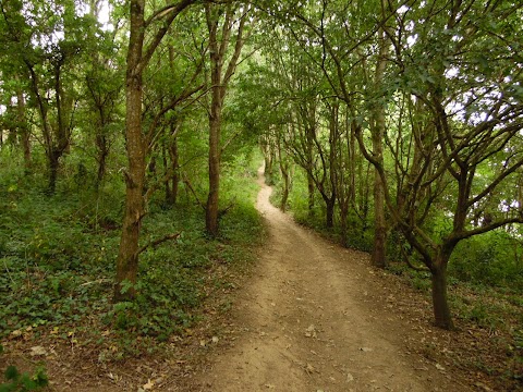 Kinterbury Creek