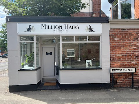 Million Hairs Dog Grooming