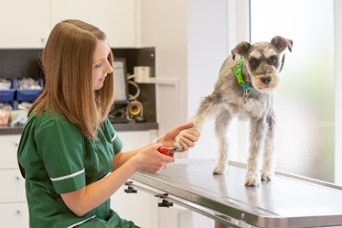 Beechwood Veterinary Group, Beeston