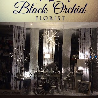 Black Orchid - Florist