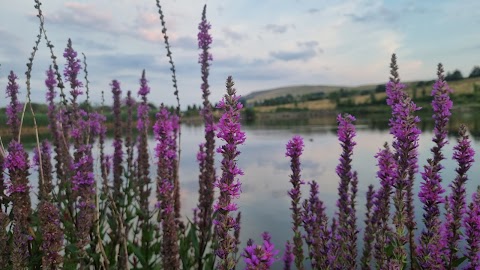 Parc - Nant - Y - Waun