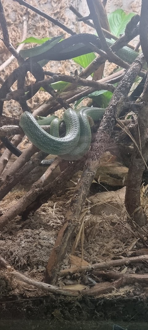 Wildlife Conservation Center Car Park