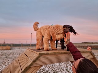 Unleashed Dog Parks - Midlothian