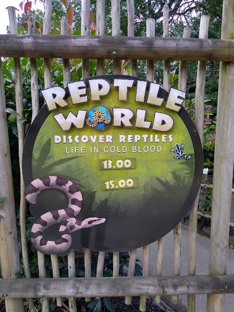 Reptile World