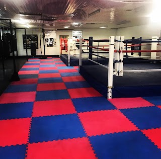 Ska boys boxing academy