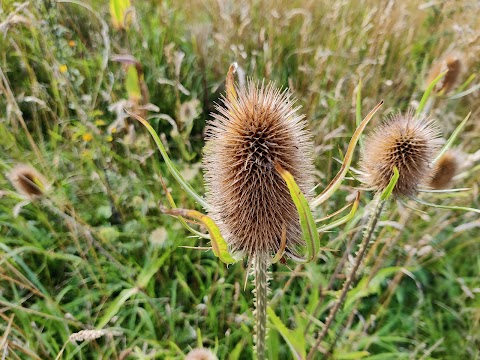 Port Sunlight River Park