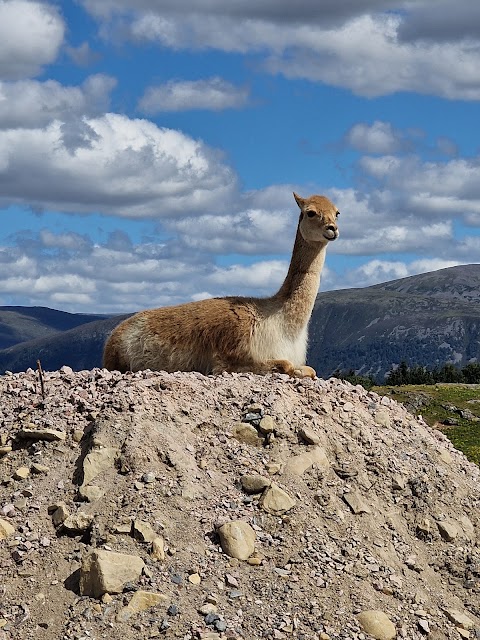 Highland Wildlife Park