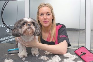 South Coast Dog Grooming Academy