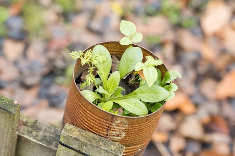 Astley Nature Kindergarten